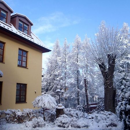 Villa Gorczanska Rabka Exterior photo